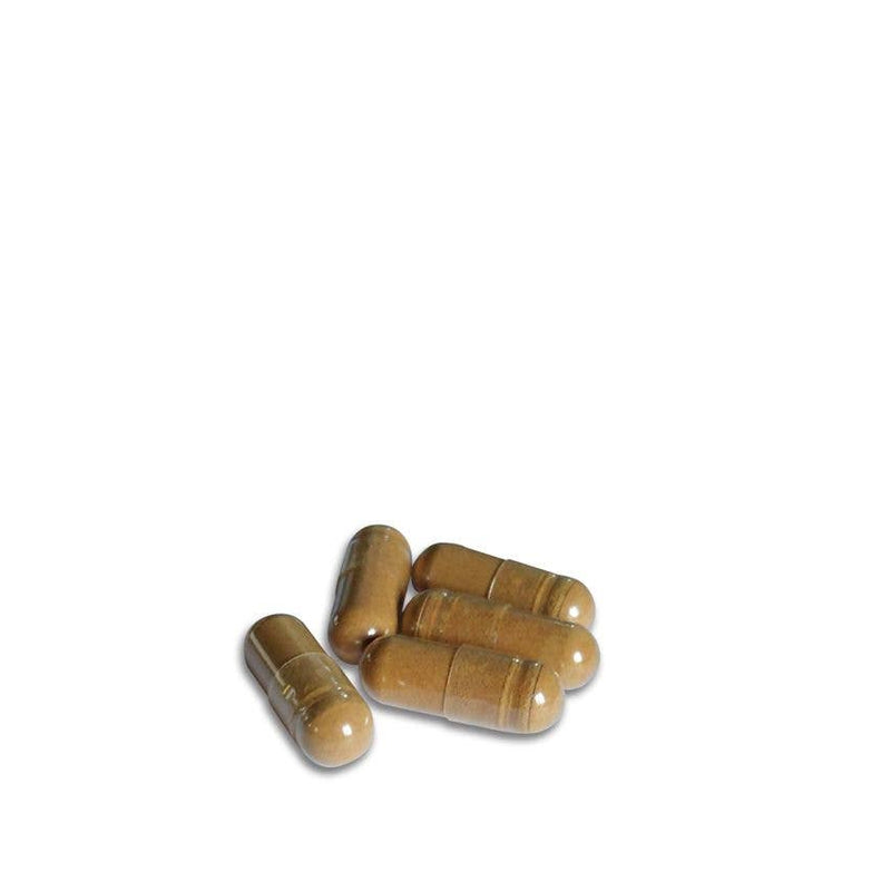 Ancient Purity – Capsules de champignons au lait de tigre 90 x 425 mg – Soutien respiratoire et cérébral naturel