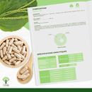 Psyllium Bio – Flohsamen-Nahrungsergänzungsmittel in Kapseln für eine gesunde Verdauung und Cholesterinregulation