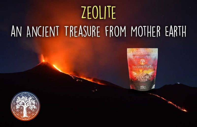 Pureté Ancienne – Poudre de Zéolite Fine (&lt; 25 microns) 350 g – Détoxification naturelle efficace et fixation des métaux lourds