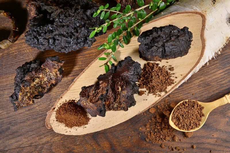 Bio Chaga 120 Kapseln