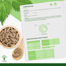 Bio-Brennnessel – Nahrungsergänzungsmittel in Kapseln für Gelenkgesundheit und Entwässerung