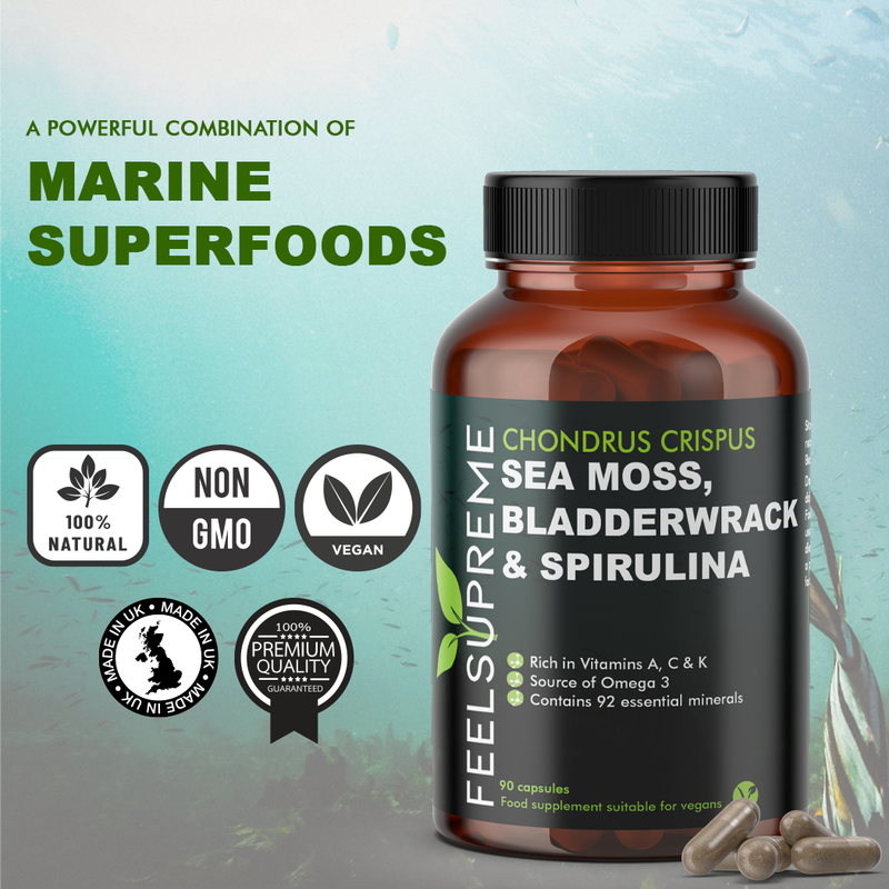 Seemoos mit Blasenwrack und Spirulina