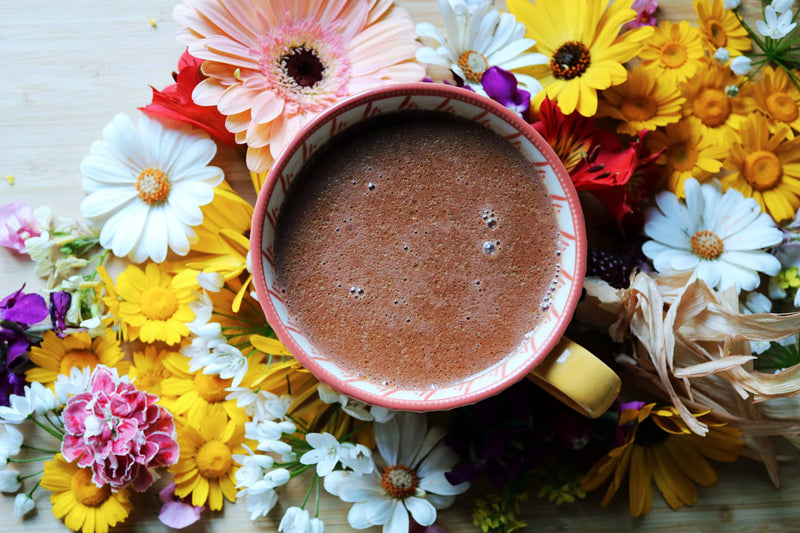 Choc Me Up | Mushroom Cacao, ceremonial quality with Reishi and Chaga