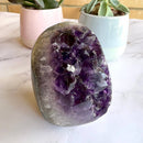 Eine polierte, geschnittene Amethyst-Geode mit tief violetten Kristallen steht auf einer weißen Marmoroberfläche. Im leicht unscharfen Hintergrund stehen zwei Sukkulenten in pastellrosa und hellblauen Keramiktöpfen.