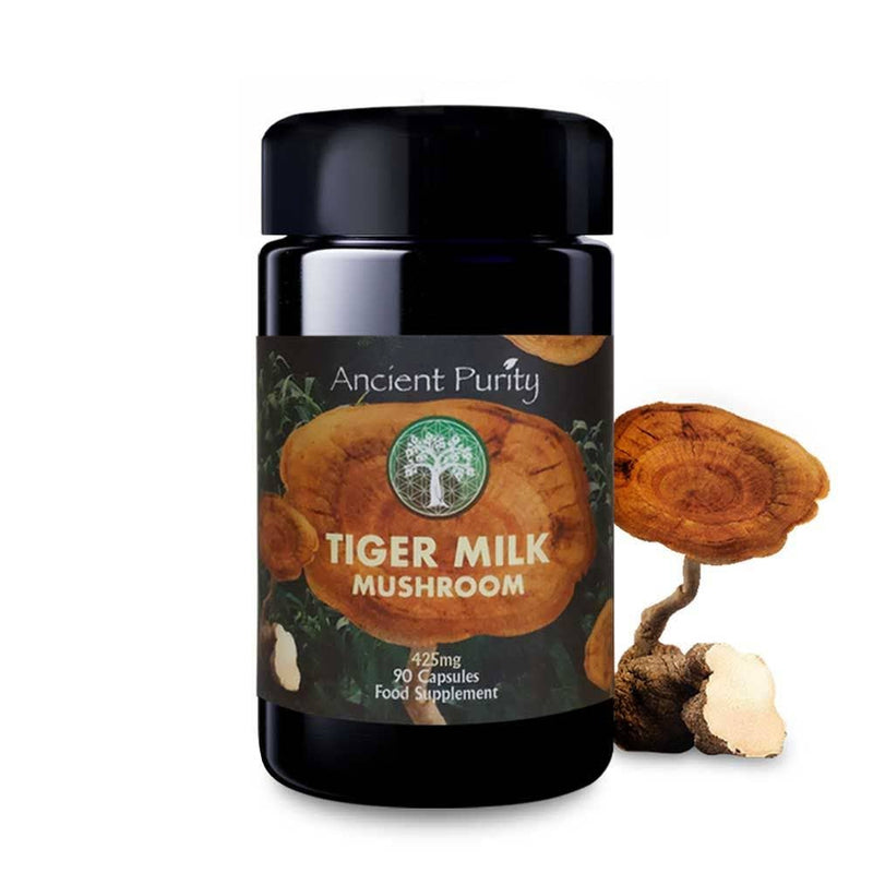 Ancient Purity – Capsules de champignons au lait de tigre 90 x 425 mg – Soutien respiratoire et cérébral naturel