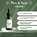 Bach Flower Remedies Anger – Finding Inner Peace &amp; Serenity