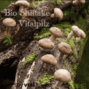 Bio Shiitake Kapseln 120 Stück - Vegan