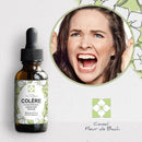 Bach Flower Remedies Anger – Finding Inner Peace &amp; Serenity