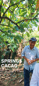 Ceremonial Anahata Cacao