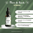 Eine Flasche "Fleur de Bach Stress" auf einem Podium, die beworbene Vorteile hervorhebt: sanfte Wirkung auf Emotionen, Hilfe bei der Überwindung von Schwierigkeiten, fördert erholsamen Schlaf und erhöht die Geduld.