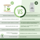 Organic Ginkgo Biloba - Dietary Supplement - Memory, Circulation 60 &amp; 200 Capsules