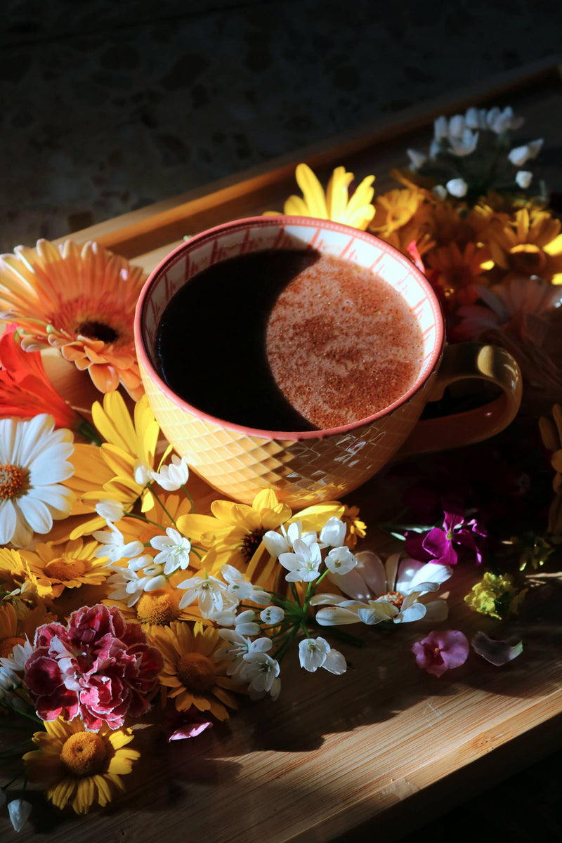 Choc Me Up | Mushroom Cacao, ceremonial quality with Reishi and Chaga