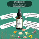 Bach Flower Remedies Anger – Finding Inner Peace &amp; Serenity