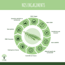 Bio-Schachtelhalm – Nahrungsergänzungsmittel in Kapseln zur Unterstützung von Gelenken und Schönheit