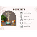 Ayurveda Specialist B.V. - Song of India Ayurveda Mini-Duftstäbchen - Aqua Oud (Pitta)