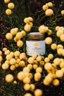 Eliah Sahil Zahnpulver Ingwer, sanftes Zahnweiss, Austria Bio Garantie 45g