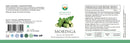 Ayurveda Specialist B.V. - Moringa Kapseln 500 mg – Immunsystem, Blutzucker & Gelenke