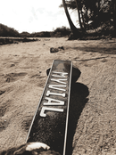 Bio Gotu Kola Kapseln – 120 Kapseln für 4 Monate - Haut, Gehirn, Durchblutung