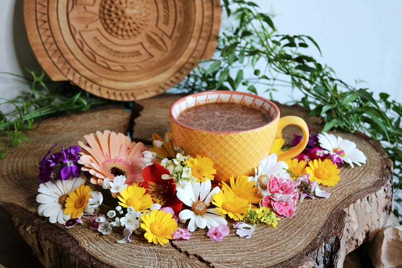 Choc Me Up | Mushroom Cacao, ceremonial quality with Reishi and Chaga