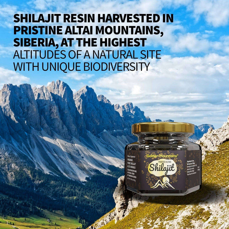 Résine Shilajit des Montagnes Dorées, argent pur, authentique et de haute qualité