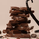 Stapel zerbrochener Zartbitterschokoladenstücke neben einer ganzen Vanilleschote.