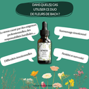  Eine Flasche "Elixir Floraux EXAMENS" auf einem Podium. Die Infografik listet die Vorteile auf: gibt dem Kind einen Schub, hilft länger konzentriert zu bleiben, hilft ausgeruht und effektiver zu sein, und hilft, sich kämpferischer zu fühlen.