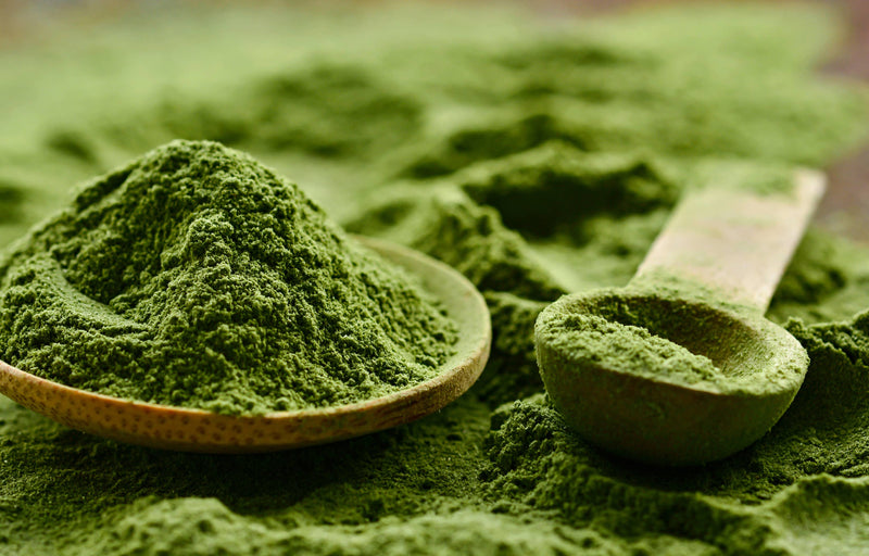 Japanisches Bio-Matcha-Teepulver - Konzentration, Fettverbrennung, Gewicht, Abnehmen