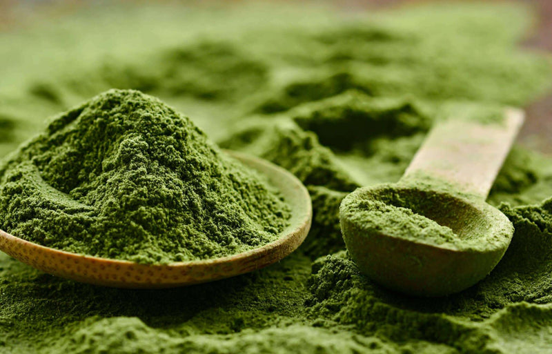 Japanese Organic Matcha Tea Powder - Concentration, Fat Burning, Weight, Slimming