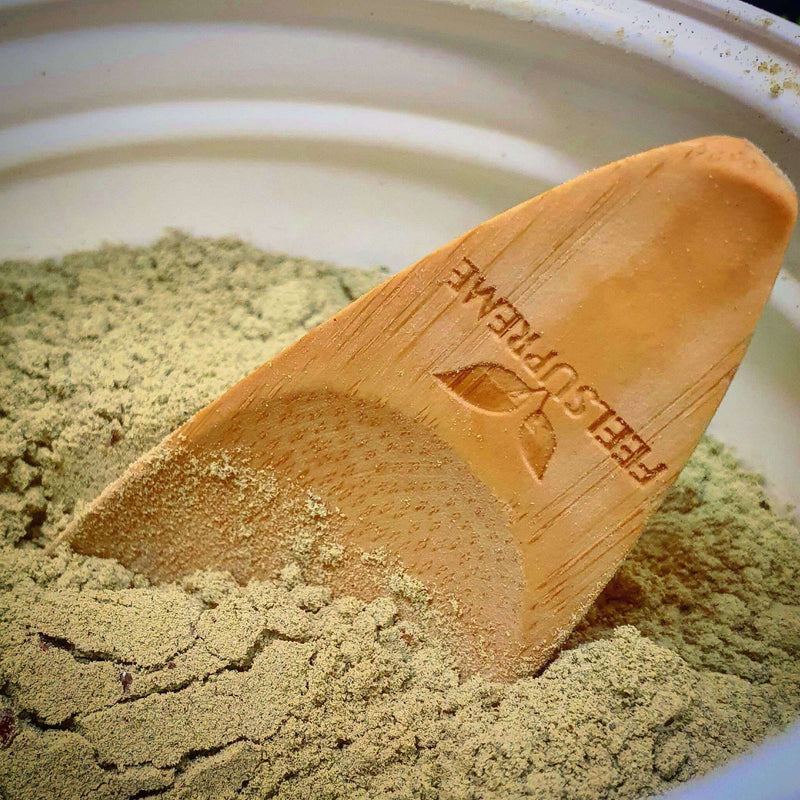 Supreme blend of vegetables and mushrooms | Shittake, Chaga, Maitake, Reishi, Lion's Mane, Superfood