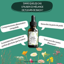 Bachblüten Gewichtsverlust – Natürliche Unterstützung auf dem Weg zu mehr Wohlbefinden