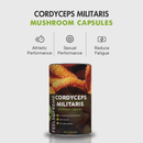 Cordyceps Militaris Pilzkapseln | Natürliche Energie, Leistungsfähigkeit, ATP, Atem, Ausdauer
