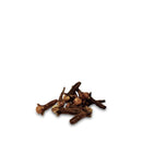 Eine kleine Gruppe Nelken auf einem weißen Hintergrund.