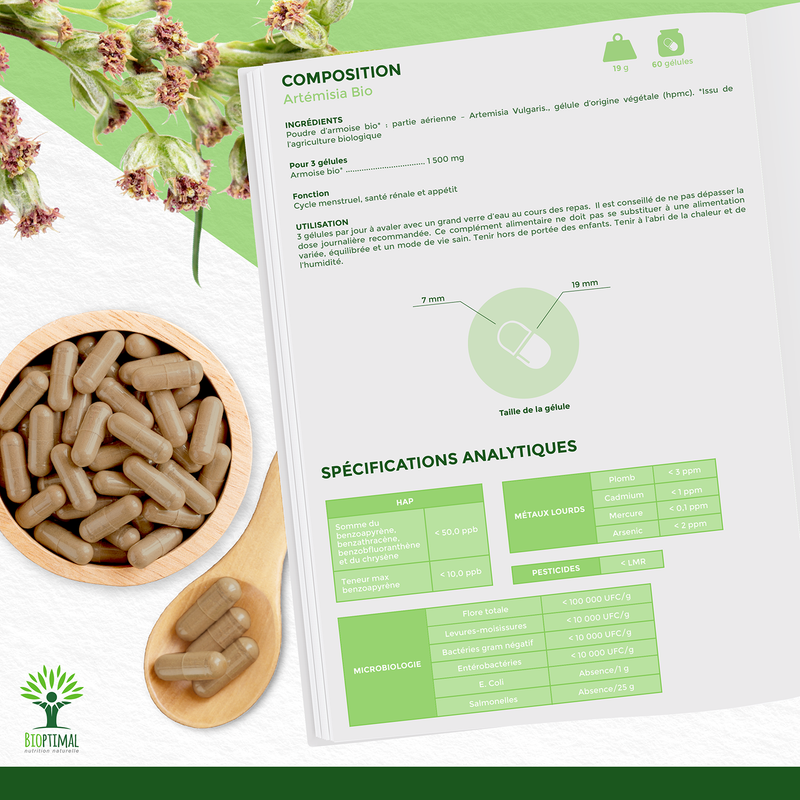 Organic Artemisia - Menstruationsbeschwerden und Muskelaufbau - Nahrungsergänzungsmittel - in Kapseln