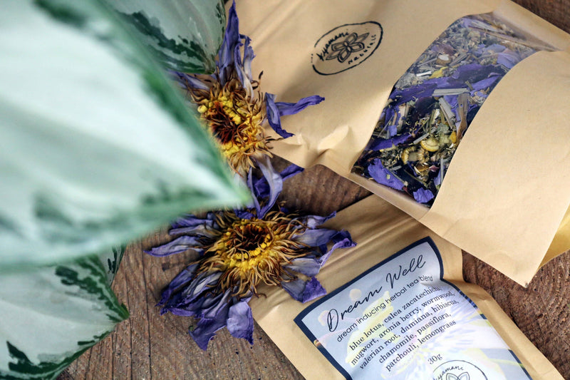 Ayamani Naturals - Dream Well Kräutertee für luzides Träumen und Astralprojektion