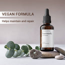 Eine dunkelbraune Tropfflasche mit Harmonify Phyto Keratin (Hair Perfection), als VEGAN und Dermatologisch getestet gekennzeichnet, steht auf glatten grauen Steinen neben einem Zweig Eukalyptusblättern. Der Werbetext lautet: „VEGAN FORMULA Helps maintain and repair.“