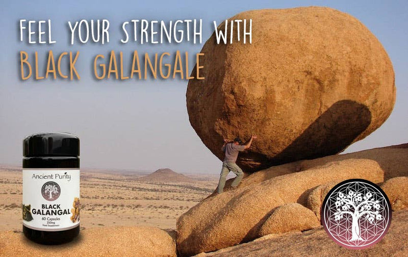 Pureté Ancienne - Galanga Noir - 60 x 250 mg | Gingembre Noir | Libido Masculine