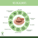 Psyllium Bio – Flohsamen-Nahrungsergänzungsmittel in Kapseln für eine gesunde Verdauung und Cholesterinregulation