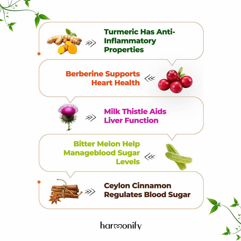 HARMONIFY Berberine with Ceylon Cinnamon, Pure Turmeric, Milk Thistle &amp; Bitter Melon, 5-in-1 Formula, 120 Purified Vegetable Capsules 1000 mg | Gluten-Free, Non-GMO