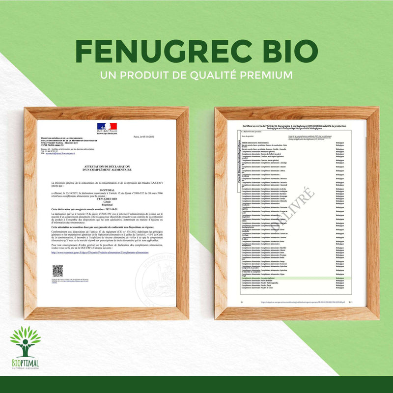 Organic fenugreek – dietary supplement in capsules for appetite enhancement and healthy blood sugar regulation