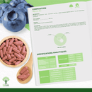 Bio-Blaubeere – Nahrungsergänzungsmittel in Kapseln zur Unterstützung der Augengesundheit