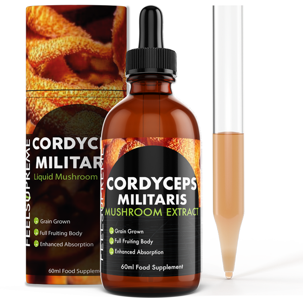 Cordyceps Militaris Pilz-Flüssigergänzung 60 ml