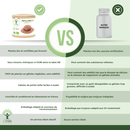 Psyllium Bio – Flohsamen-Nahrungsergänzungsmittel in Kapseln für eine gesunde Verdauung und Cholesterinregulation