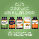 Prowise Healthcare - Bio-Moringa-Kapseln 2000 mg – 120 vegane Kapseln aus Moringablättern