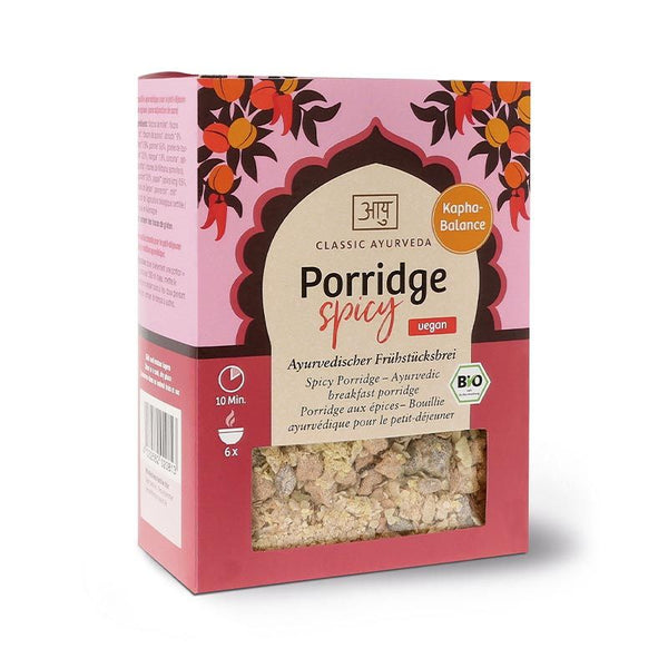 Porridge spicy Bio 480g