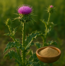 Eine Distelpflanze mit einer violetten Blüte in einem Feld, mit einer kleinen Holzschale, die braunes Pulver enthält, im Vordergrund.
