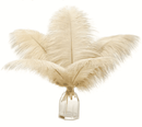 ostrich feather