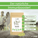 Quercetin 120 Kapseln - Vegan - Made in Germany