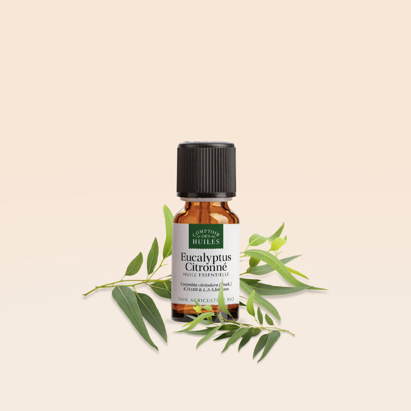 COMPTOIR DES OUILES - Organic Lemon Eucalyptus Essential Oil
