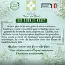 Bachblüten Selbstvertrauen