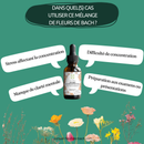 Eine Flasche "Fleur de Bach DEVOIRS & CONCENTRATION" ist umgeben von Sprechblasen, die die Anwendungsfälle beschreiben: konzentrationsbeeinträchtigender Stress, Konzentrationsschwierigkeiten, Vorbereitung auf Prüfungen/Präsentationen und mangelnde geistige Klarheit.